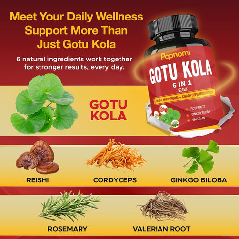 Organic Gotu Kola Extract Capsules - 90 Counts with Reishi, Cordyceps, Rosemary, Ginkgo Biloba & Valerian Root