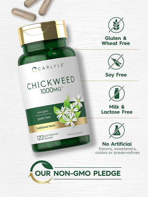 Carlyle Chickweed Capsules 1,000mg | 120 Count | Non-GMO, Gluten Free Herbal Supplement