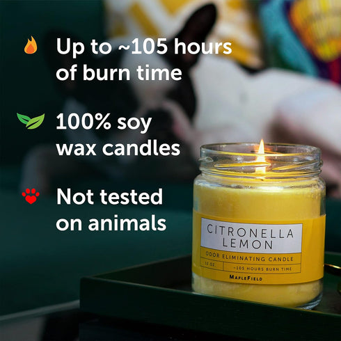 Odor Eliminating Candle, Air Freshener for Cooking, Cigarette Smoke, Pet Odors, 105 Hour Burn Time, 12 OZ