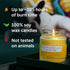 Odor Eliminating Candle, Air Freshener for Cooking, Cigarette Smoke, Pet Odors, 105 Hour Burn Time, 12 OZ