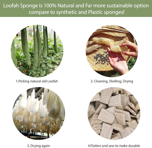 Hello Nature 6pcs Set 3 Set Plant-Based Kitchen Brush by , Sustainable & Biodegradable Natural Fibre Bamboo Dish