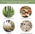 Hello Nature 6pcs Set 3 Set Plant-Based Kitchen Brush by , Sustainable & Biodegradable Natural Fibre Bamboo Dish