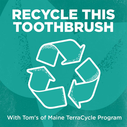 Soft Whole Care Toothbrush by Tom's of Maine