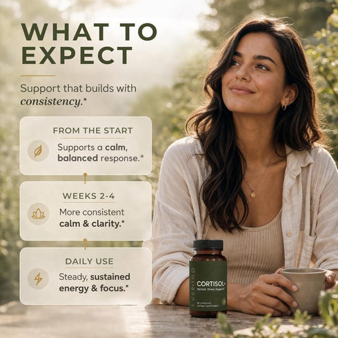 Reset KSM-66 60 EVEKIND Cortisol Supplement for Women | Stress Support for Mood, Energy & Hormone Balance | Calm, Focus