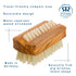 REDECKER Natural Pig Bristle Travel Nail Brush with Waxed Olive Wood Handle, 2-1/4-Inches