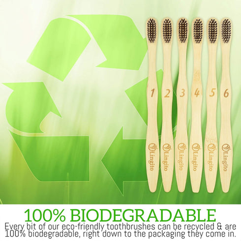 Lingito 6-Pack Natural Charcoal Bamboo Toothbrushes, BPA Free Soft Bristles, Eco Friendly & Vegan