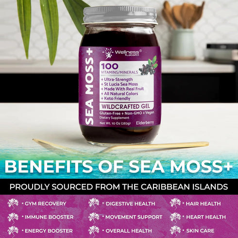 Immune 10 oz. WELLNESS LABSRX Irish Sea Moss Gel Raw - Wildcrafted Superfood Seamoss Gel - Elderberry Flavor, Vitamin