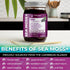 Immune 10 oz. WELLNESS LABSRX Irish Sea Moss Gel Raw - Wildcrafted Superfood Seamoss Gel - Elderberry Flavor, Vitamin