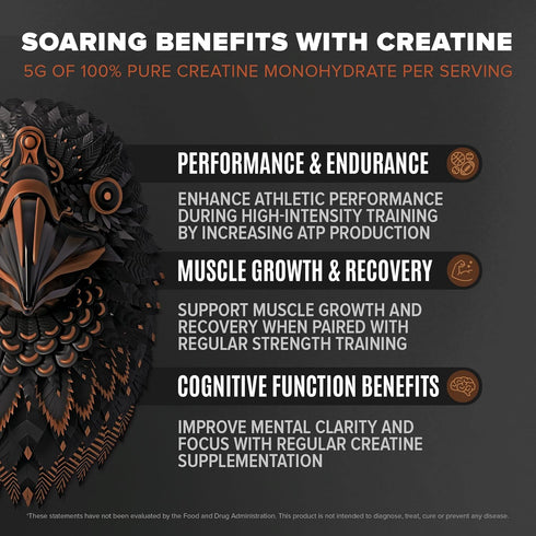 Birdman Falcon Performance Vegan Protein Powder, 31g Protein, 5g Creatine, Low Carb, Plant Based Chocolate
