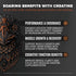 Birdman Falcon Performance Vegan Protein Powder, 31g Protein, 5g Creatine, Low Carb, Plant Based Chocolate
