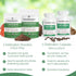 Real Mushrooms 5 Defenders Capsules - Organic Mushroom Extract for Focus and Immune Support - Vegan, 90 Caps