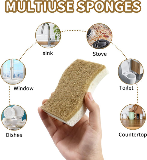 Biodegradable Natural Kitchen Sponge - 12 Pack Compostable Cellulose and Coconut Scrubber