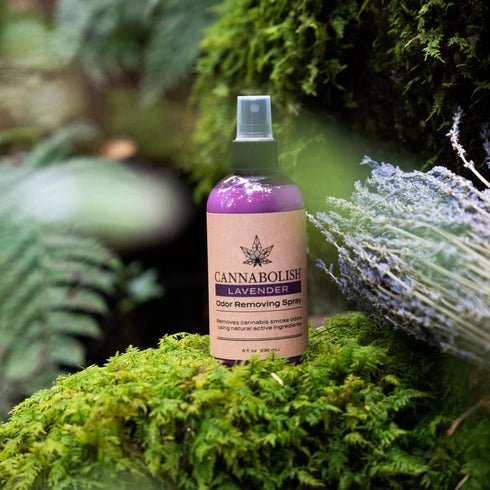 Cannabolish Lavender Smoke Odor Eliminator Spray and Air Freshener, 8 fl oz - Natural Ingredients
