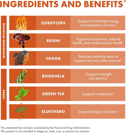 Host Defense MycoBotanicals Energy* Capsules - Energy & Respiratory Support with Cordyceps, Reishi & Chaga - 60