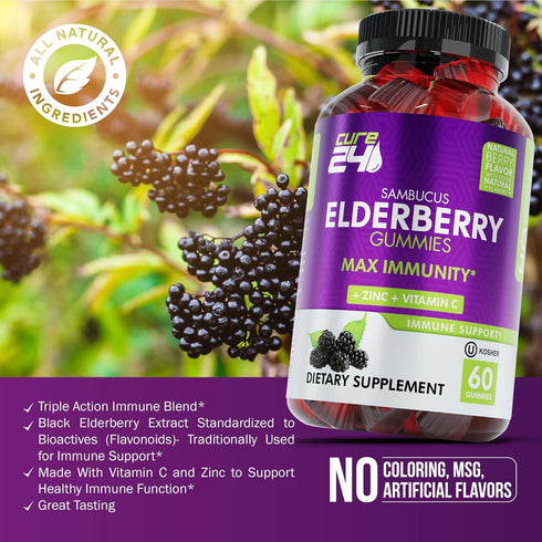 Sambucus Elderberry Gummies for Adults & Kids, Black Elderberry Vitamin C and Zinc, 60 Chews