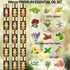 Set 15 Set (5ml) Essential Oils - Top Scents for Diffuser, Humidifier, Skin Care, Aromatherapy, Massage, Candle & Soap