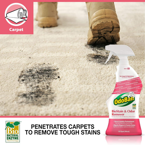 OdoBan Professional Cleaning and Odor Control Solutions, Ready-to-Use Biostain and Odor Remover, 32 oz