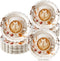 Havawish 100 Pcs Love Is Brewing Coffee Bridal Shower Party Plates Decoration Coffee