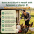 Qanoreth Immunity, Selenium and Vitamin E Powder for Chickens Boost Muscle Support & Reproductive Health, Selenium