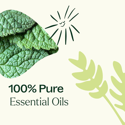 Set 10 mL (1/3 oz) Plant Therapy Pain Support Essential Oil Blend Each of Ache Away, Rapid Relief & Tension Relief