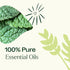 Set 10 mL (1/3 oz) Plant Therapy Pain Support Essential Oil Blend Each of Ache Away, Rapid Relief & Tension Relief