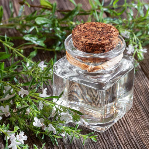 Essences Bulgaria Organic Mountain Savory Essential Oil - 1/6 Fl Oz | 5ml | 100% Pure and Natural, Therapeutic Grade