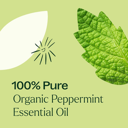 Plant Therapy Organic Peppermint Essential Oil, 100% Pure, USDA Certified Organic, 30 mL (1 oz)