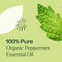 Plant Therapy Organic Peppermint Essential Oil, 100% Pure, USDA Certified Organic, 30 mL (1 oz)
