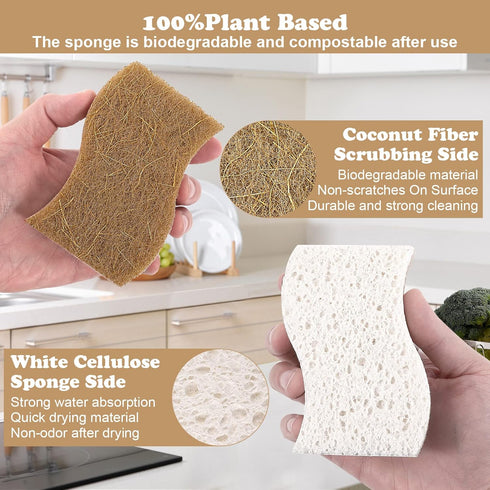 12 Pack Natural Sponges,Eco Friendly Kitchen Sponge,Natural Dish Sponges for Washing Dishes,Biodegradable Compostable Cellulose and Coconut Scrubber Sponge for Kitchen,Non-Scratch,Odor Free by ENHYIVE