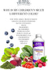 Buried Treasure Children's Daily Multi Liquid Multivitamin & Minerals Vegan Supplement for Kids, 16 oz