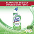 Lysol Toilet Bowl Cleaner Gel ¦ Cleaning and Disinfecting, Stain Removal, Forest Rain Scent, 24oz (Pack of 2)