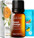 Set Set 2x0.34 oz Vanilla Essential Oil for Skin & Orange Essential Oil for Diffuser - Aromatherapy Grade Essential