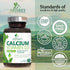 Calcium Supplement with Vitamin D - 1200 mg Calcium Carbonate with 1600 IU D3 Vitamins, 120 Tablets for Bone Health