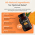 Golden Revive + Joint Support Supplement - Turmeric with Black Pepper, Quercetin, Magnesium, 60 Capsules