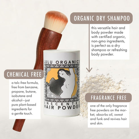 Non Aerosol Dry Shampoo Powder for Dark, Blonde, Oily Hair, All Natural Organic Hair and Body Powder, Travel Size,