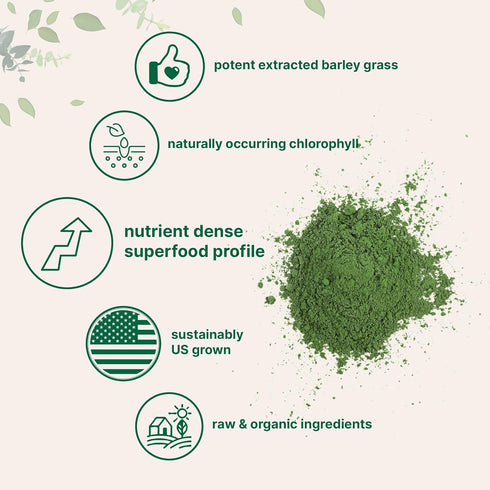 Organic Barley Grass Powder, 16 Ounces | US Grown | Superfood Greens Mix for Immune Health and Digestion Support