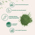 Organic Barley Grass Powder, 16 Ounces | US Grown | Superfood Greens Mix for Immune Health and Digestion Support