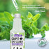Mighty Mint Carpet Spot Cleaner, 16oz Non-Toxic Spray with Natural Peppermint Scent to Remove Carpet Stains Instantly