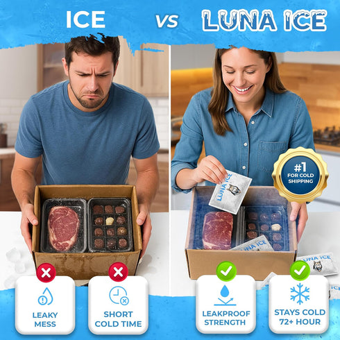 Dry Ice Packs for Shipping, Long Lasting Ice Packs, 24+ Hour Freeze Power, BPA Free, 48 Pack Bulk, 12 lb, Reusable Gel