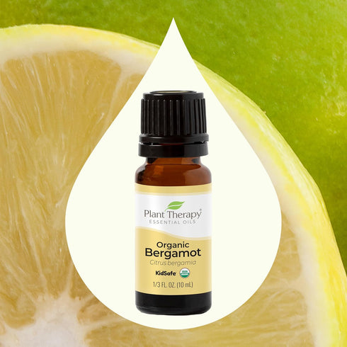 Plant Therapy Organic Bergamot Essential Oil, 10 mL (1/3 oz), 100% Pure, Undiluted, Therapeutic Grade