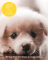 Pet Odor Candle | Grapefruit & Musk w/Gold Moon & Stars Symbol | Pleasant Yellow Candle for Pet Odor Eliminator, Soy