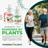 Fruits & Veggies Capsules, Natural Superfood with Vitamins & Minerals, Fruit & Vegetable Supplements for Adults (2 Pack)