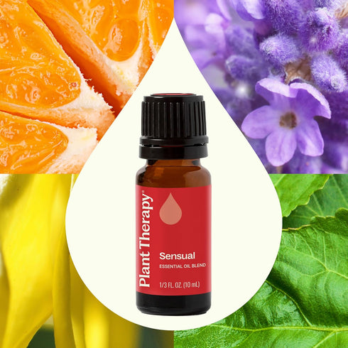 Plant Therapy Sensual Essential Oil Blend for Couples - 10 mL (1/3 oz) - 100% Pure, Natural Aromatherapy