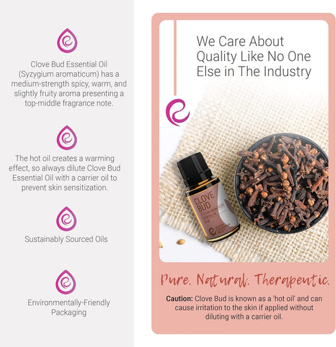 Rocky Mountain Clove Bud Essential Oil - 15ml Aromatherapy Diffuser Oils, Topical Massage Oil for Home