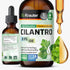 BIO KRAUTER Cilantro Supplement, Rich Source of Antioxidants, Natural Cleansing & Detox Tincture - 2 Fl. Oz.