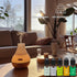 Essential Oils Set - Top 5 Aromatherapy Oils for Diffuser, Air Freshening Scents for Candle & Soap Making, Humidifiers