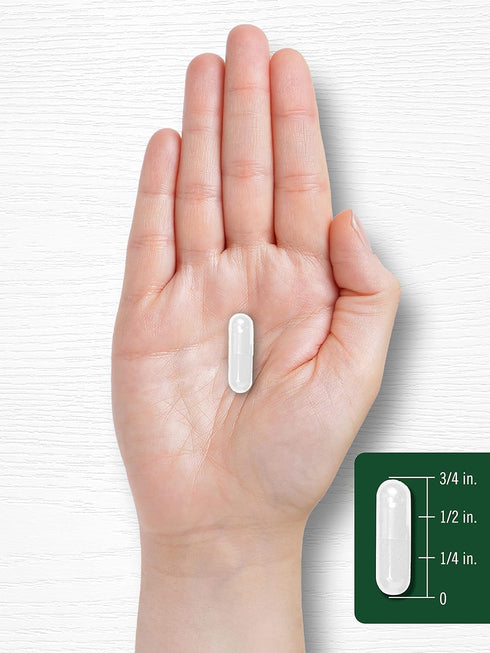 Carlyle Plant Sterols 1200 mg | 240 Ultra Potent Capsules | Non-GMO and Gluten Free