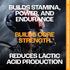Cyclist-Optimized Creatine Serum, Cherry, 5.1 Fl Oz, Boosts Cycling Performance, Energy, Endurance & Focus