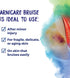 Boiron Arnicare Bruise Cream for Pain Relief from Bruising and Swelling or Discoloration from Injury - 1.4 oz(Pack of 1)