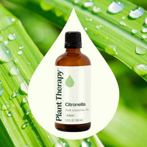 Plant Therapy Citronella Essential Oil, 100 mL (3.3 oz), 100% Pure